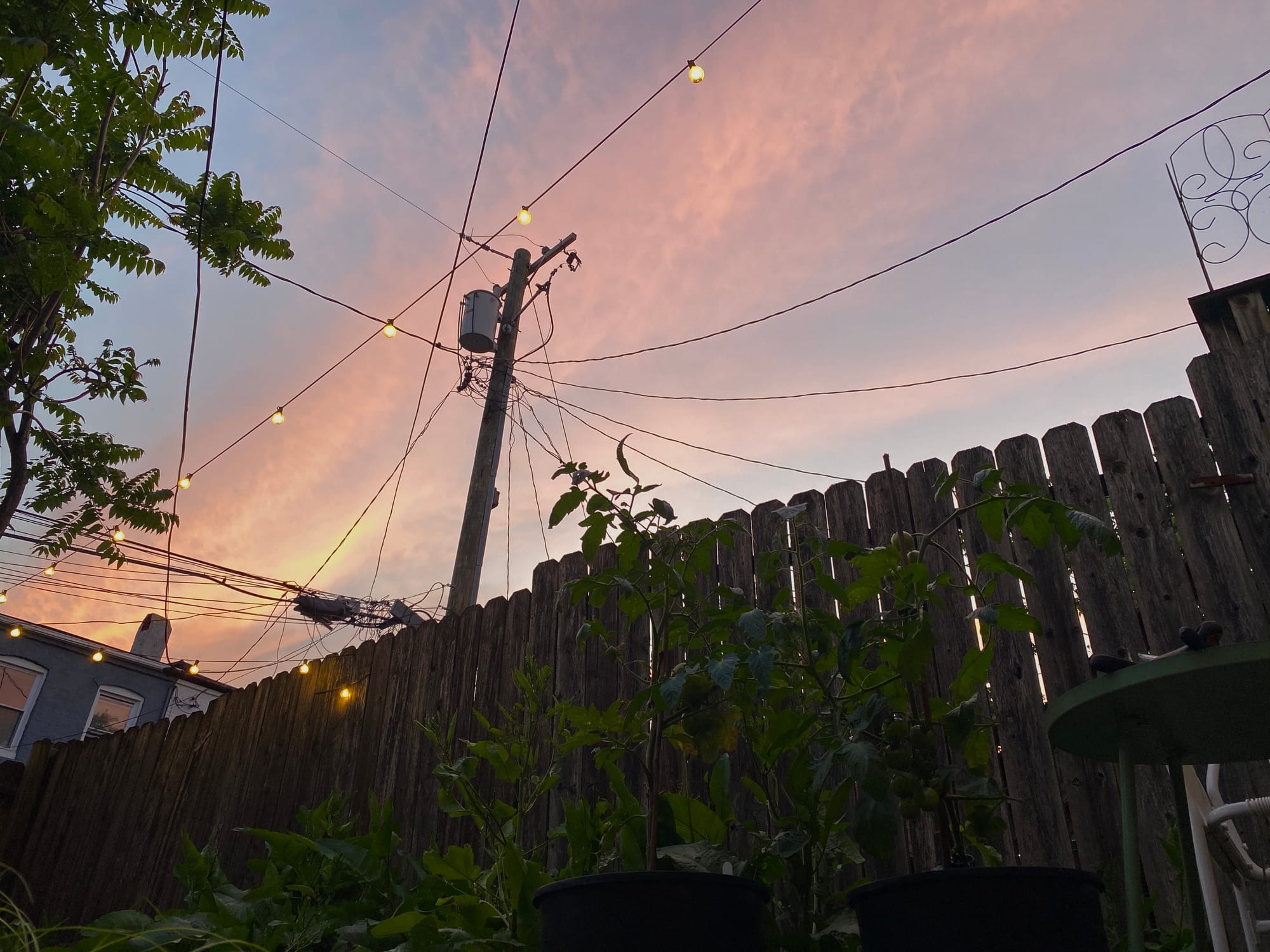 low angle photo of a fence with a sunset in the background with power lines and string lights